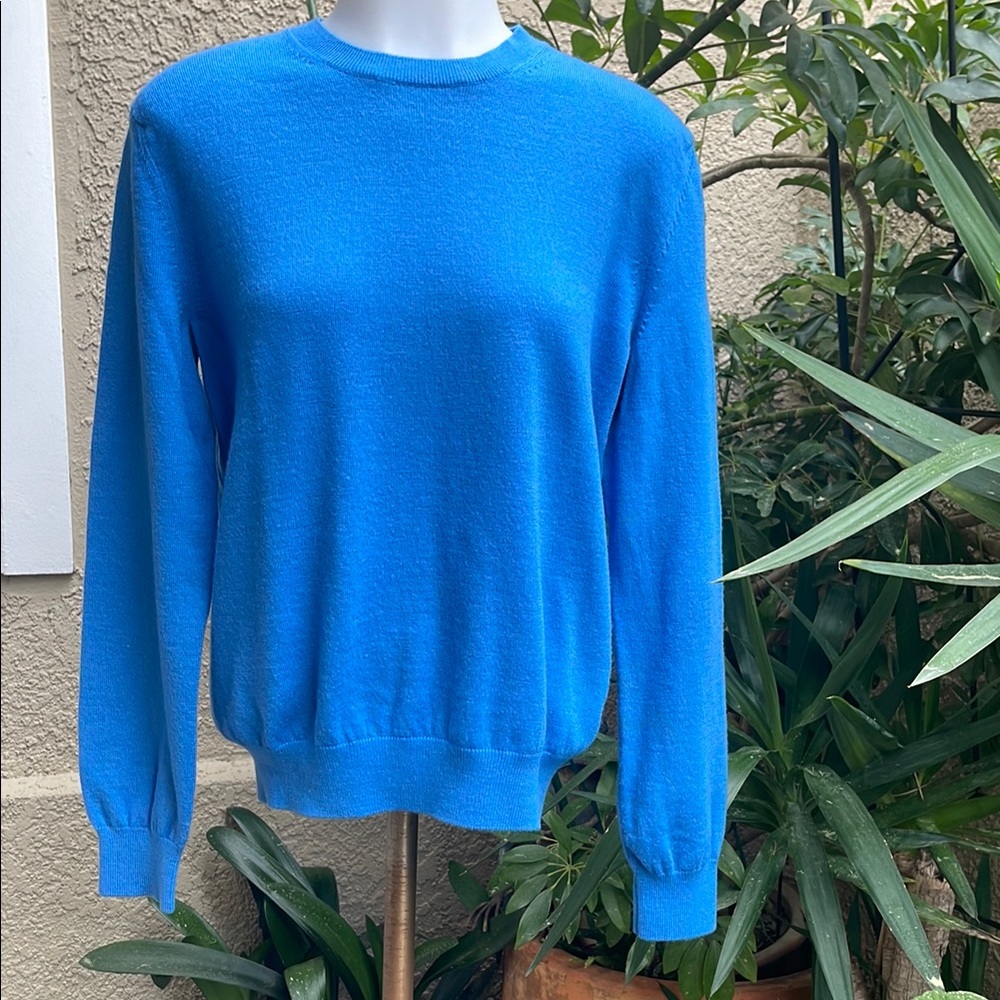Bright Blue Banana Republic Extra Fine Merino Crew Neck Sweater